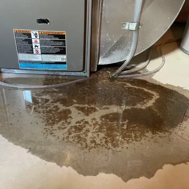 Appliance Leak Cleanup in Huerfano County, CO